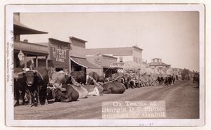 Ossenwagens in Sturgis, D.T., pub.1887 - 1892 (foto) door John C. H. Grabill