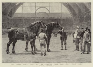 Het Shire Horse Show in de Agricultural Hall, het laatste duel
