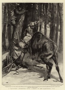 Een avontuur van een squatter met een eland in New Hampshire, VS
