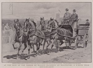 Bij de verkoop van de hackneys van de Prins van Wales in Wolferton, een bruikbaar team