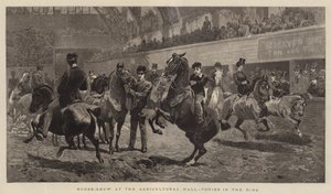 Paardenshow in de Agricultural Hall, pony