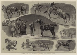 Aantekeningen bij de Hackney Horse Society