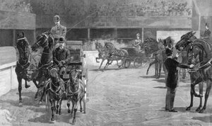 Paren, onder 15 handen, 1891 door John Charlton