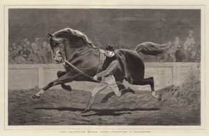 De Islington Paardenshow, een Roadster draven door John Charlton