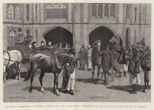 De Koningin ontvangt op Windsor Castle de vijf Arabische paarden die door de Sultan van Muscat aan Hare Majesteit zijn geschonken door John Charlton