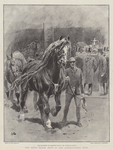 De Shire Horse Show in de Agricultural Hall door John Charlton