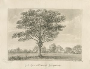 Boscobel - De Koninklijke Eik door John Chessell Buckler