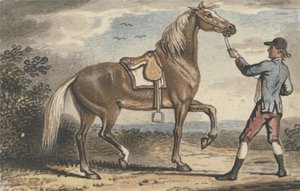 Staljongen die een Paard vasthoudt in een Landschap door John Collet