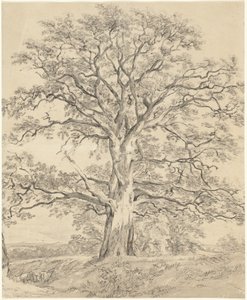 Een grote eik door John Constable
