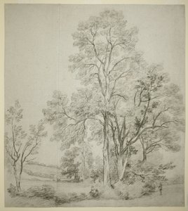 Een rij iepen (recto); Een studie van East Bergholt met de kerk (verso)