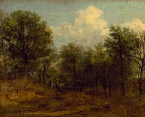 Een bos (olieverfschilderij)