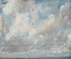 Studie van de wolk