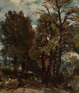 Fen Lane, Oost-Bergholt door John Constable