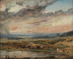 Hampstead Heath, met vijver en baders