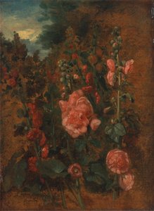 Studie van stokrozen