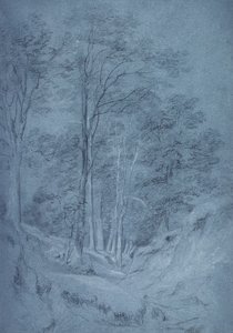 Studie van essen en andere bomen door John Constable