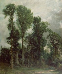 Bomen in Hampstead door John Constable