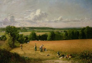 Tarweveld door John Constable