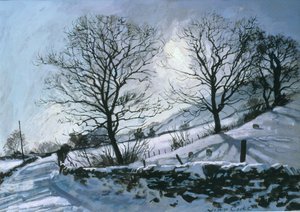 Wintermiddag in Dentdale door John Cooke