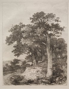 Bij Colney