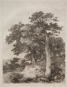 Bij Colney