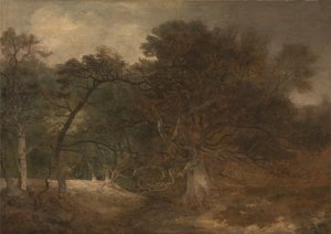 Boslandschap bij Norwich