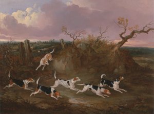 Beagles in Volle Jacht door John Dalby