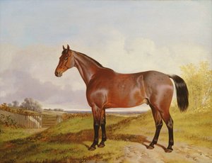 Studie van een Bay Hunter in een landschap, 1854