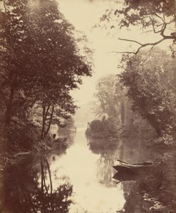Een Zomeravond, Penllergare, 25 augustus 1854 door John Dillwyn Llewelyn