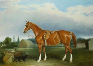 Een Kastanjebruine Jager en een Spaniël bij Boerderijgebouwen