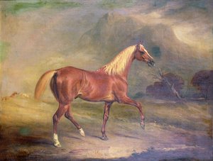 Kastanjebruine Arabische hengst door John E. Ferneley