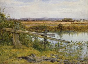 De Wegkant door John Edward Newton