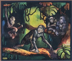 Chimpansee door John Edwin Noble