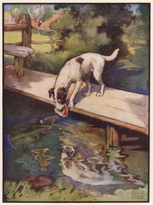 De Hond en de Schaduw door John Edwin Noble