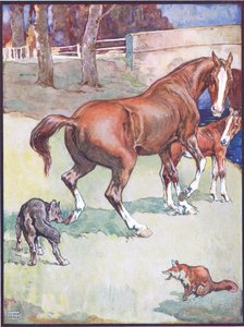 De merrie hief haar hoef op, illustratie voor Reinaert de Vos, uit Dierenlegenden uit vele landen, uitgegeven door Raphael Tuck & Sons Ltd. door John Edwin Noble