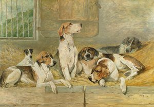 Honden