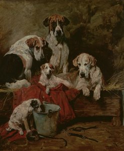 Kennel Metgezellen