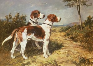 Twee honden in een landschap