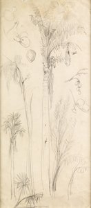 Palmbomen door John Everett Millais