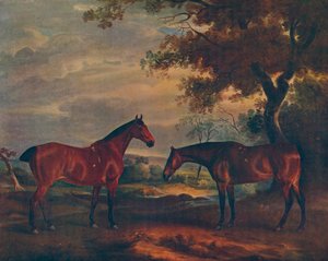 Yorkshire jagers op gras, ca. 1840, 1922 door John Ferneley