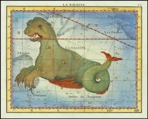 1776 - John Flamsteed - La Baleine (Cetus) door John Flamsteed