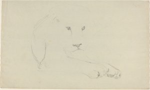 Leeuw door John Flaxman