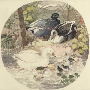 Eenden door John Frederick Herring
