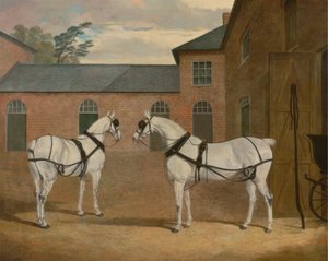 Grijze Koetspaarden in de Koetshuis bij Putteridge Bury, Hertfordshire door John Frederick Herring