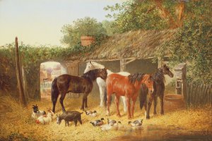 Boerderijgenoten