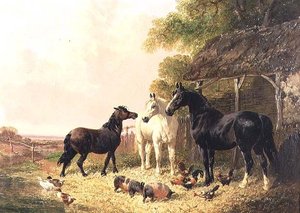 De boerderij
