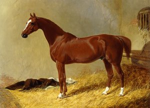 Een bruine renpaard in een stal door John Frederick Herring Senior