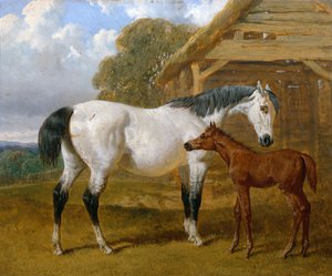 Een Merrie en Veulen voor een Schuur, 1854 door John Frederick Herring Senior