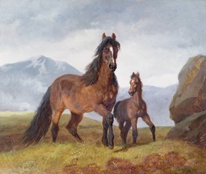 Een Welsh Bergmerrie en Veulen, 1854