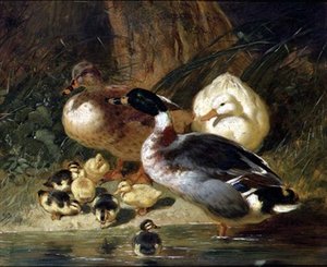 Eenden en eendjes door John Frederick Herring Senior